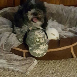 Meet your Posher, Patrick